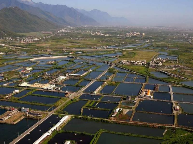立川漁場_台灣自由行專賣店