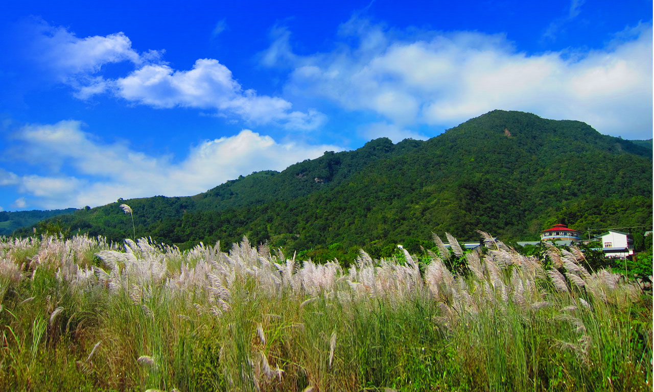 太平山森呼吸(含包車)_台灣自由行專賣店