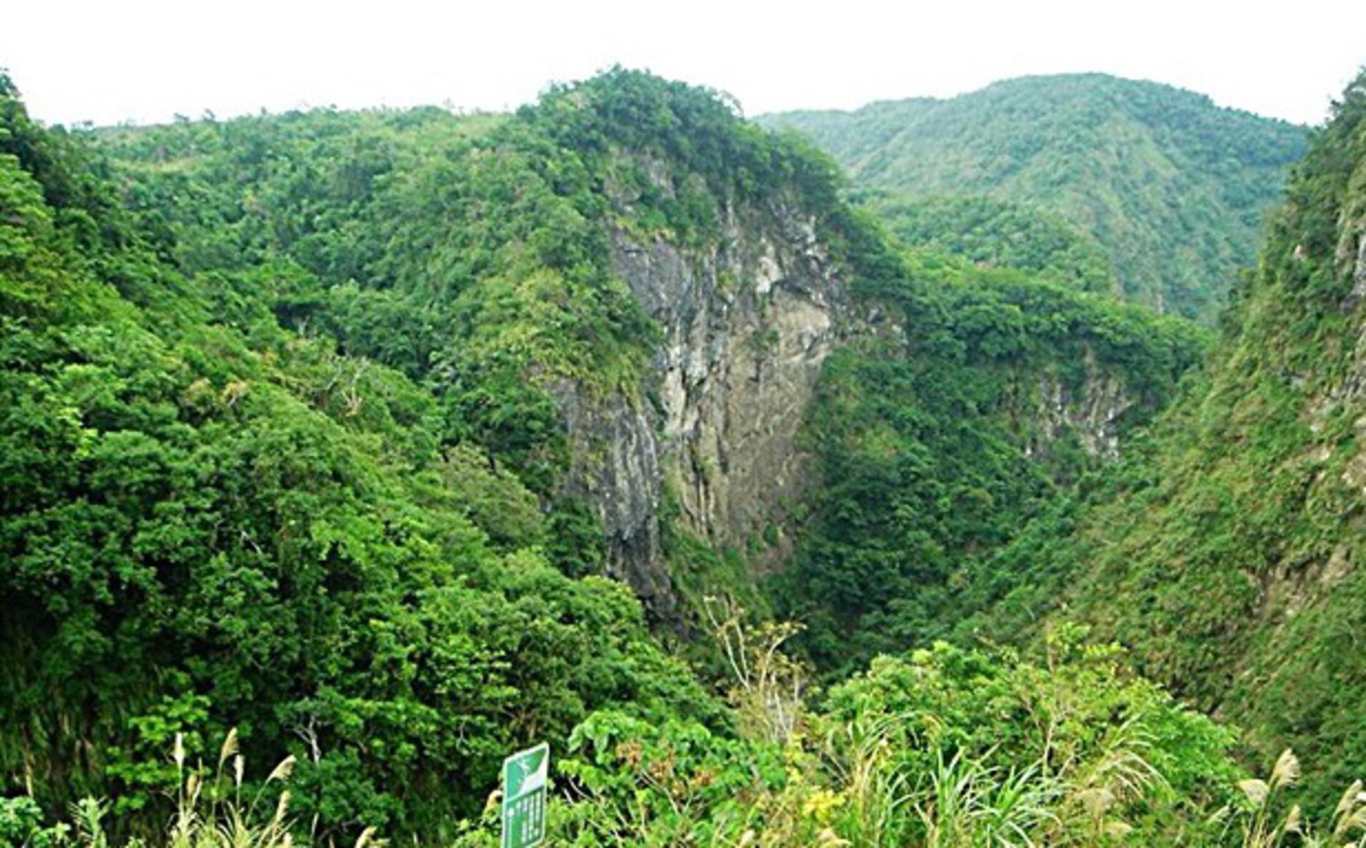 海岸山脈唯一峽谷-18號橋_台灣自由行專賣店